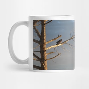 Crow on the dry tree Mug